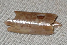 Fløjtestump, fundet i Tårnbyudgravningerne